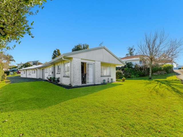 25 Pah Street Matua_4