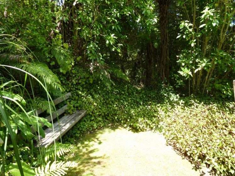 30 Ngahere Terrace Opoutere_8