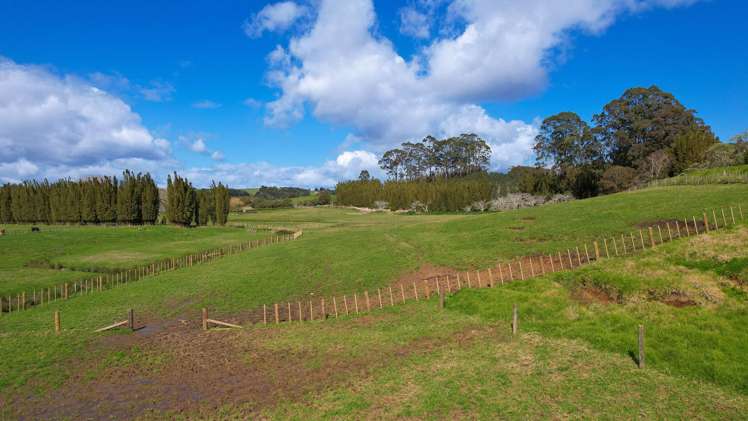 Lot Lot 1 Marshall Road Pakaraka_8