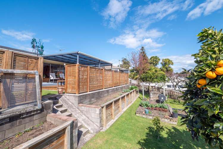 16 King Street Te Puke_2