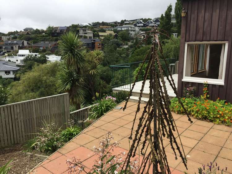 135 Mt Pleasant Road Mount Pleasant_18