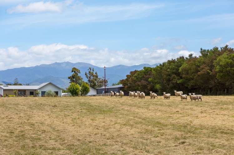 85C Opaki Road Masterton_8