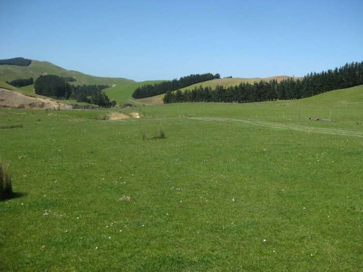 858 Oporae Road Waione_6