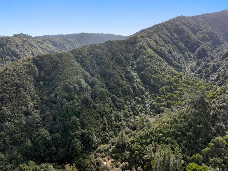 Zero Akatarawa Road Brown Owl_25