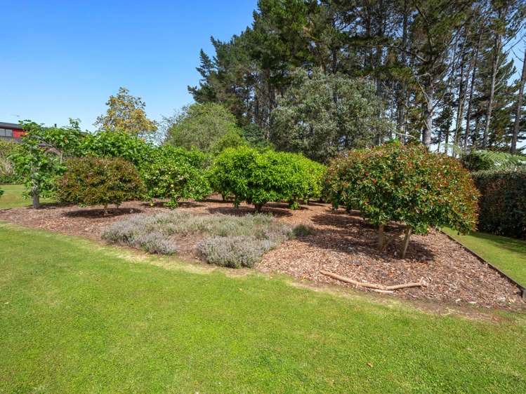 34B Jess Road Whakamarama_31