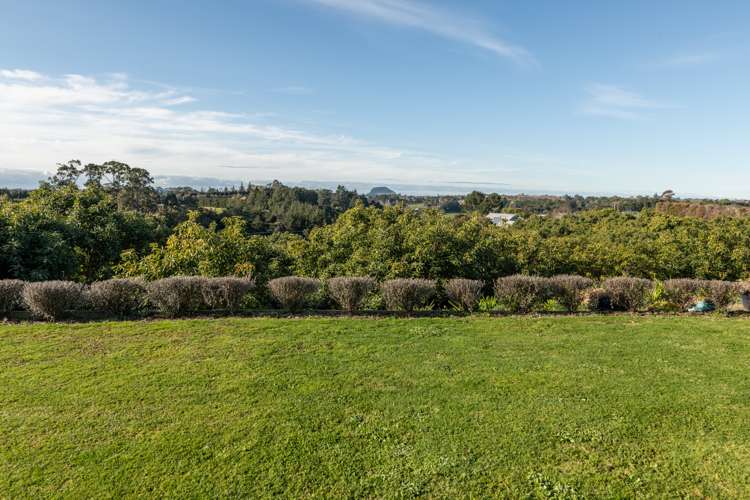 84 Oliver Road Wairoa_14