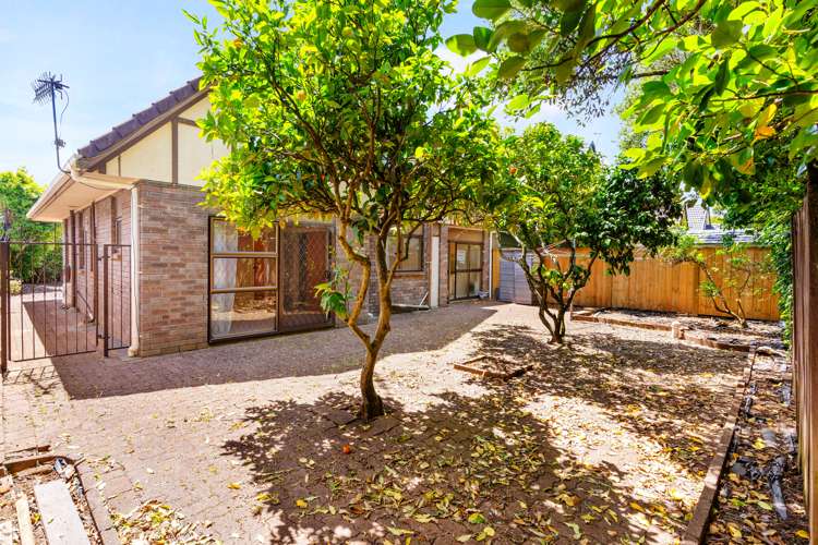 34 Marewa Road Greenlane_1