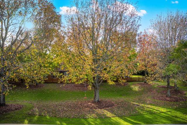 47/130 Great South Road Epsom_2