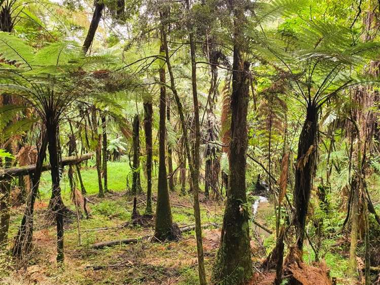 67 Fraser Road Kawakawa_16