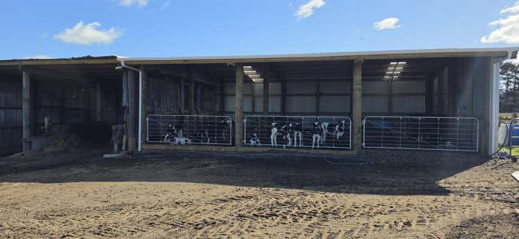 1641 Eltham Road Kaponga_37