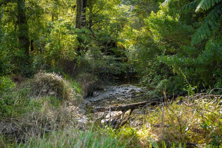 6694 Kenepuru Road Marlborough Sounds_46