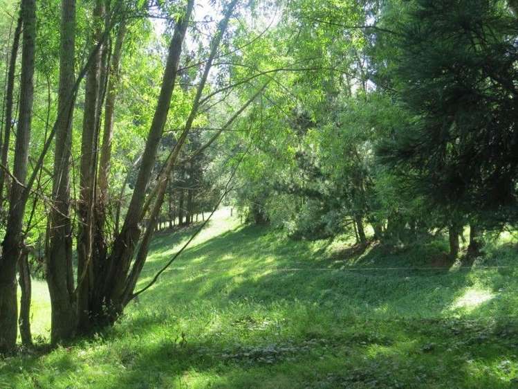 111 Tarr Road Ohaupo_32