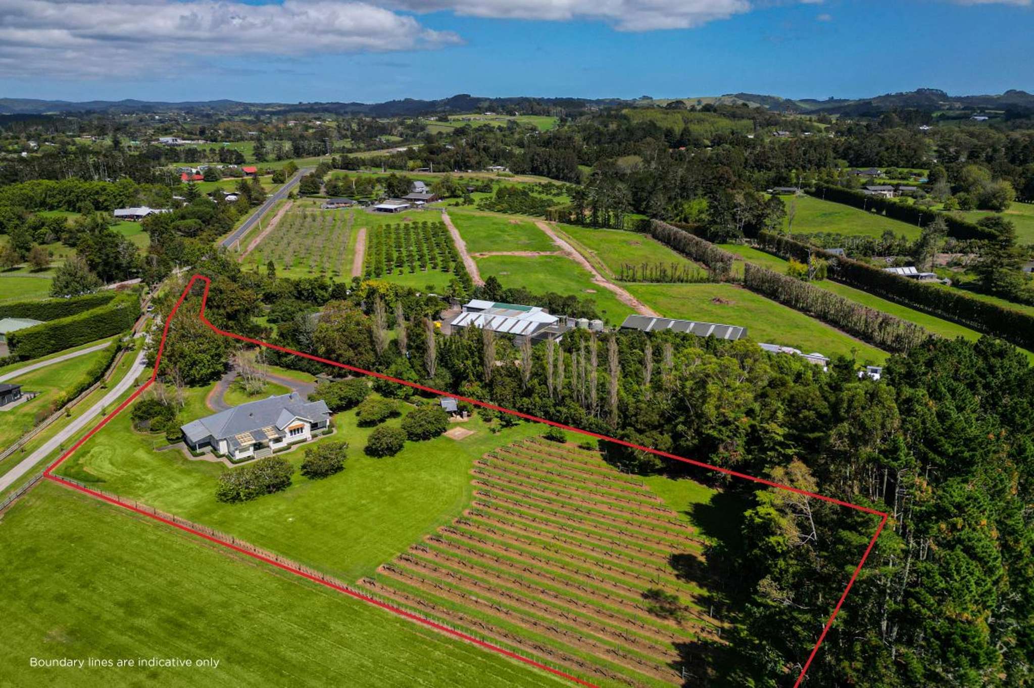 From Remuera to Rodney: Villa set among grapevines for sale