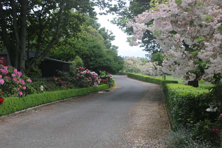 9 Kellands Hill Road Gleniti_19