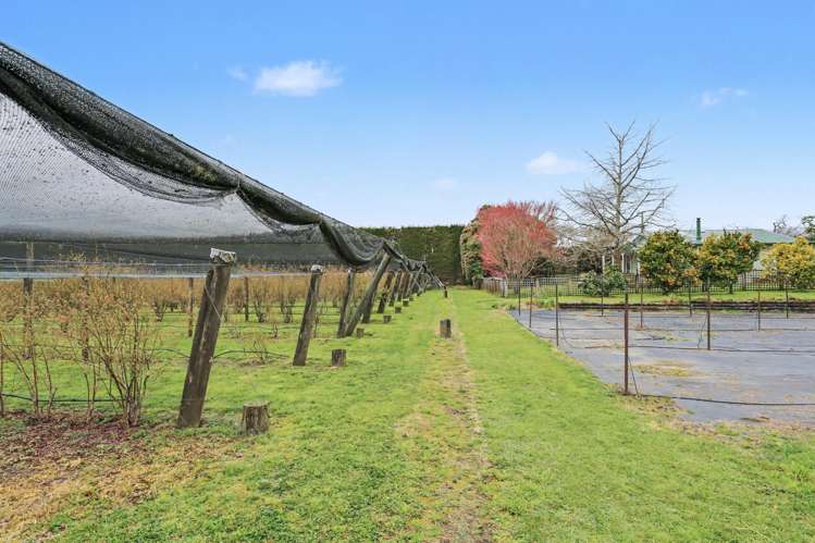 1040 Te Matai Road Te Puke_25