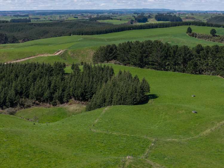 937 AB Wiltsdown Road South Waikato Surrounds_6