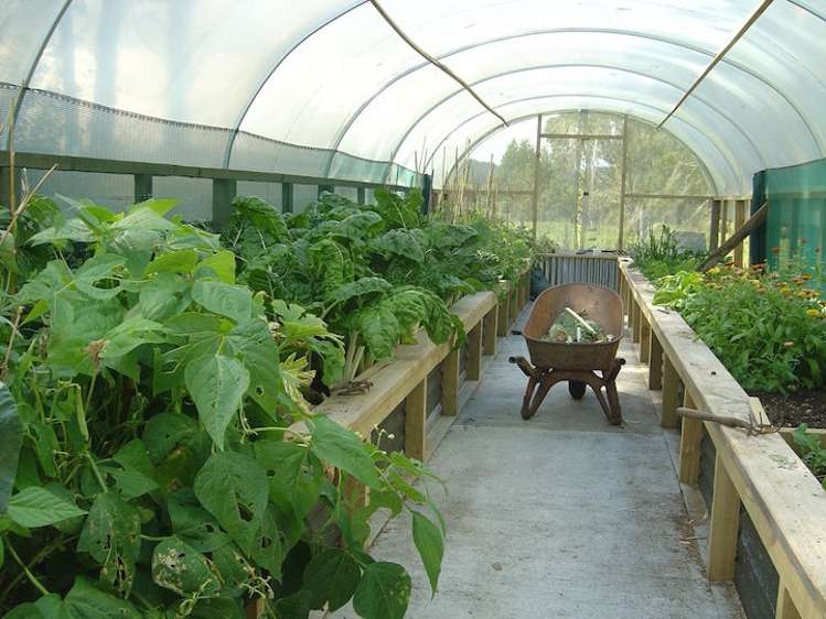 9 Stafford Road Hokitika_18