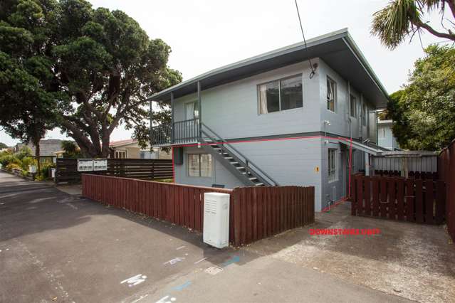 1/175 Queens Drive Lyall Bay_2