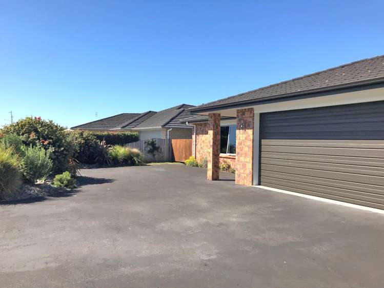 369 One Tree Point Road One Tree Point_22