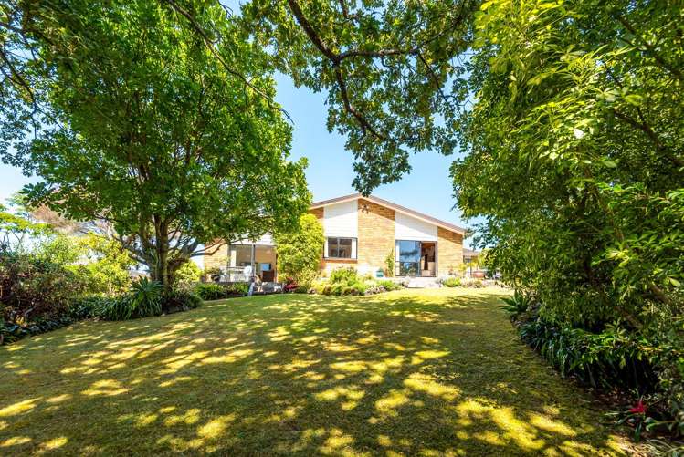 188 Cook Street Howick_18