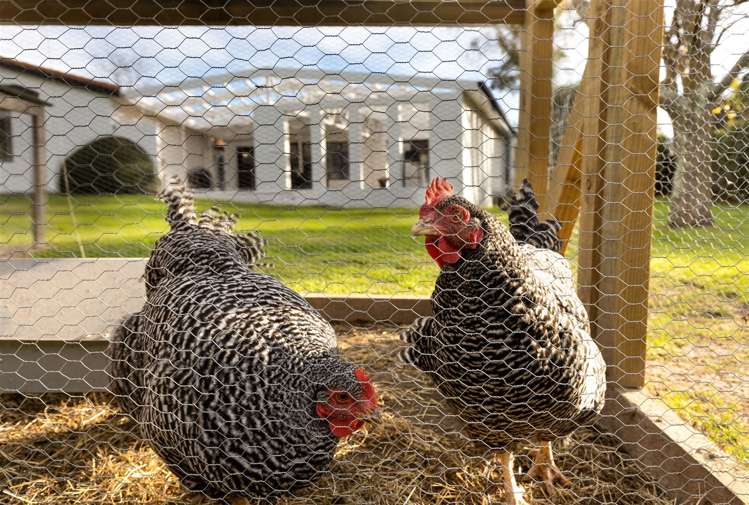 221a Redwood Street Witherlea_33