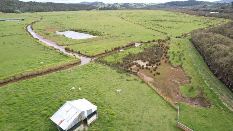 Matawera Road Kohukohu_15