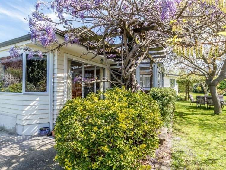 12 Balliol Avenue Pirimai_19