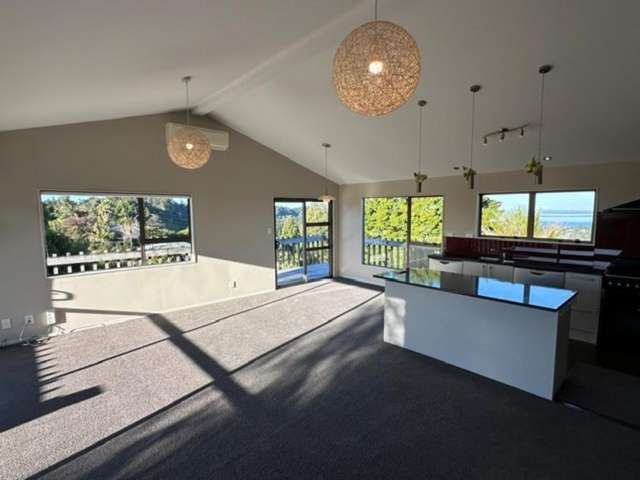 168 Scenic Drive Titirangi_2