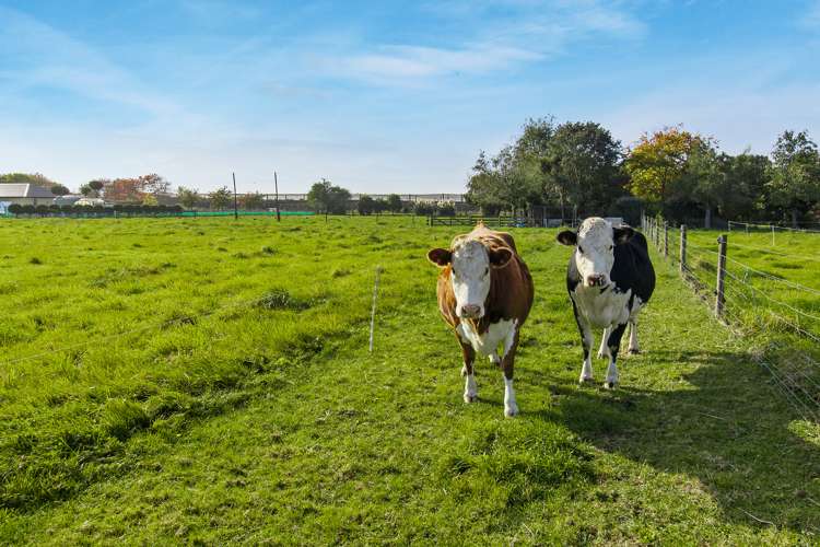 91 Foley Road Levels_26