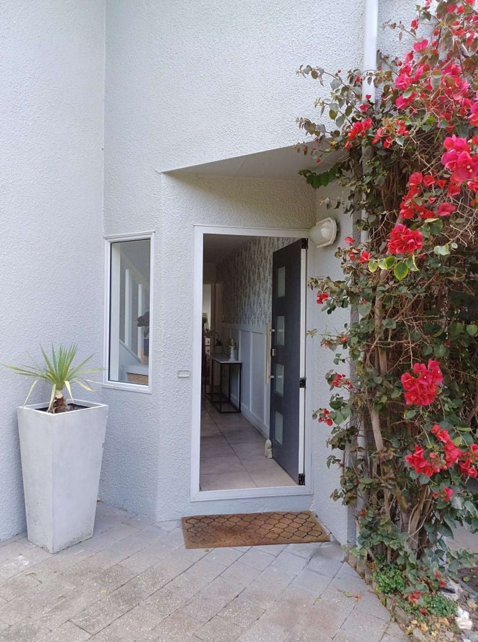 20 Maire Street Tahunanui_0