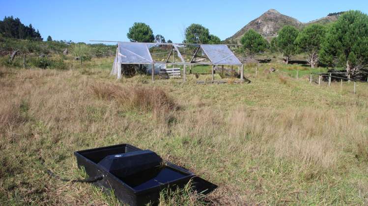 Kerr Road Parua Bay_5