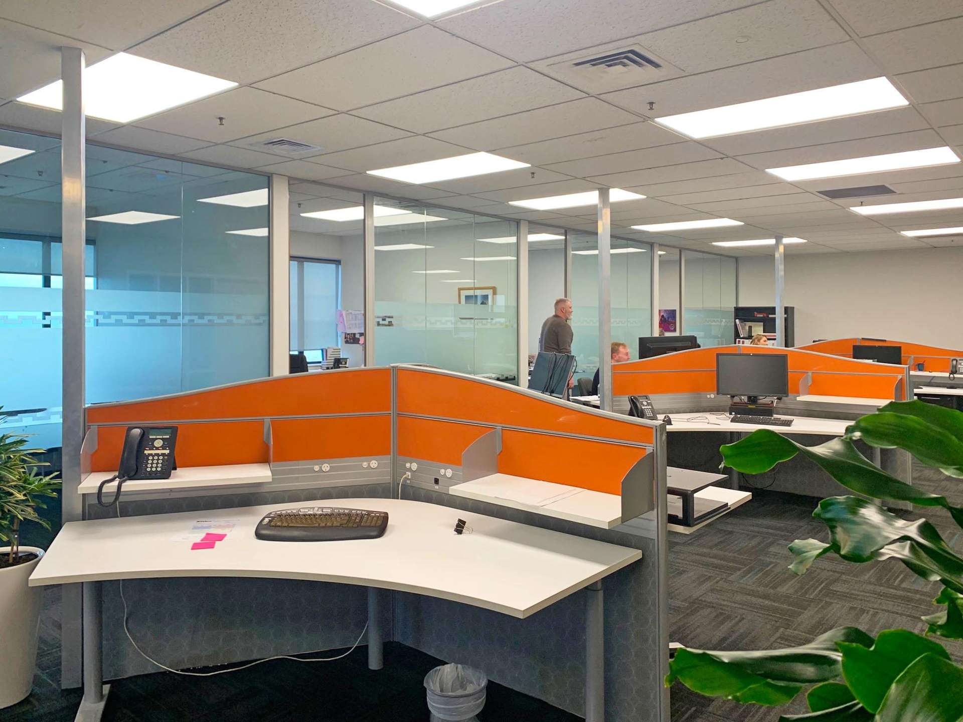 54 Gill Street New Plymouth_0