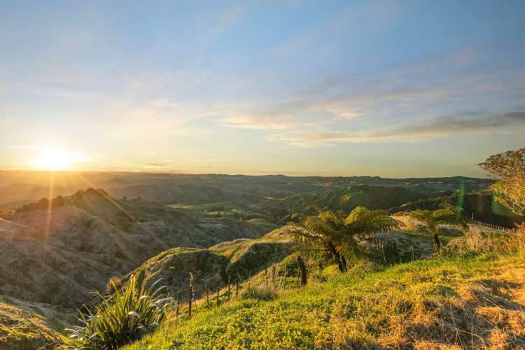 718 Opotiki Road Taumarunui_22