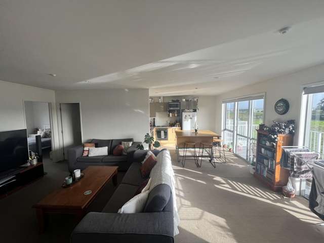 14/15 Bishop Lenihan Place East Tamaki_3