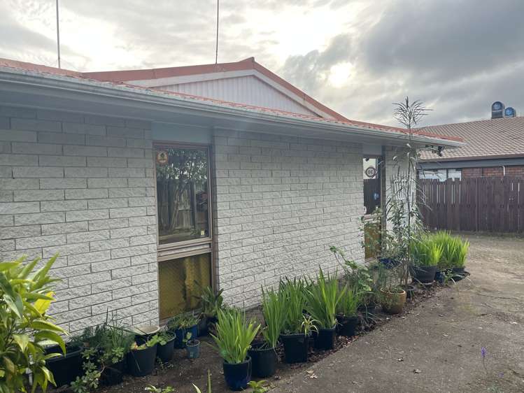 63A Ranolf Street Victoria_15