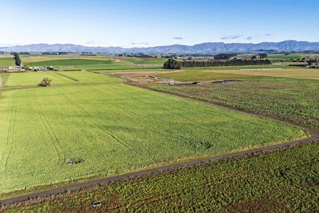 Pareora River Road Southburn_4