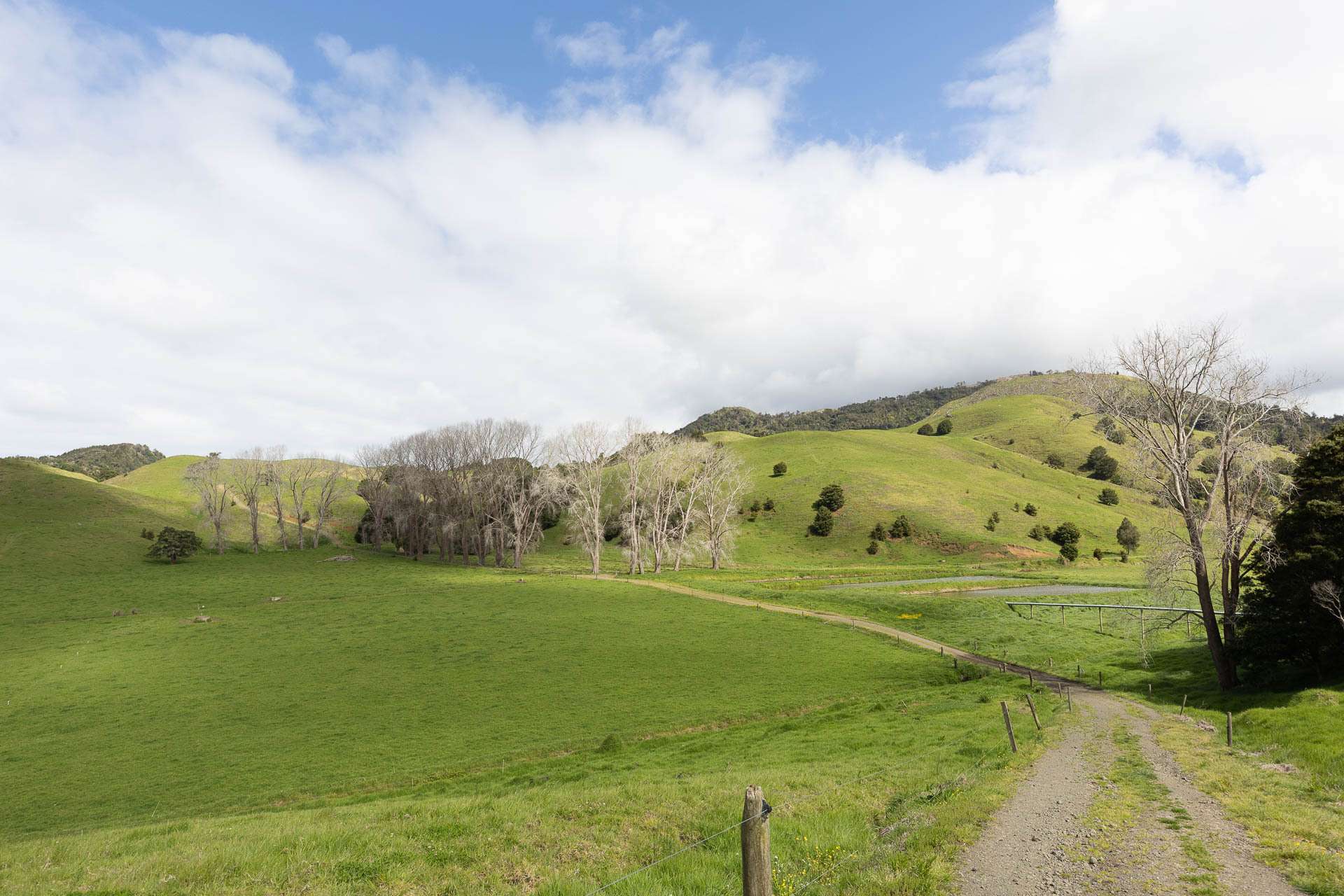 1557 Waihue Road Dargaville Surrounds_0