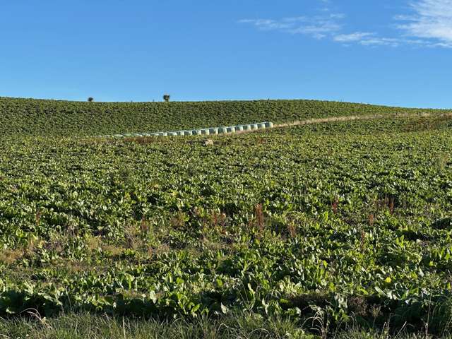 114 Bull Creek Road Glenledi_4