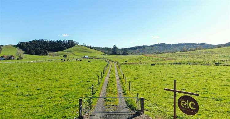 52 Kopuku Road Waerenga_8