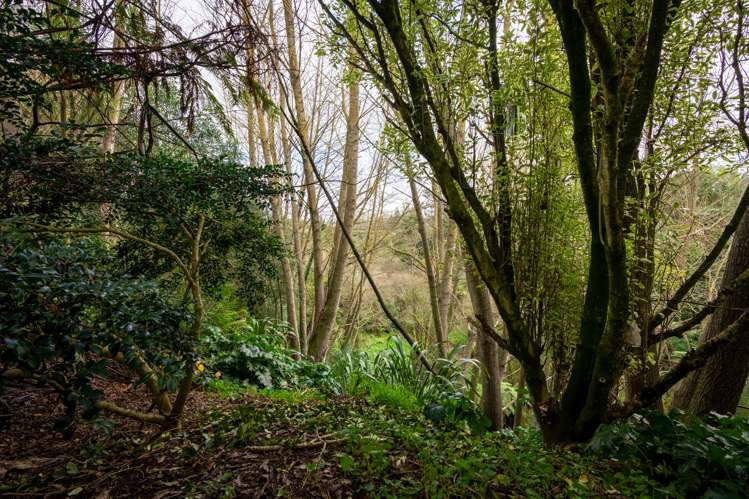 5d Woodcock Road Tamahere_36