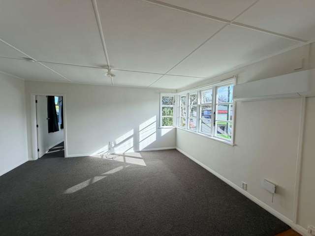 7 Lincoln Street Halfway Bush_4