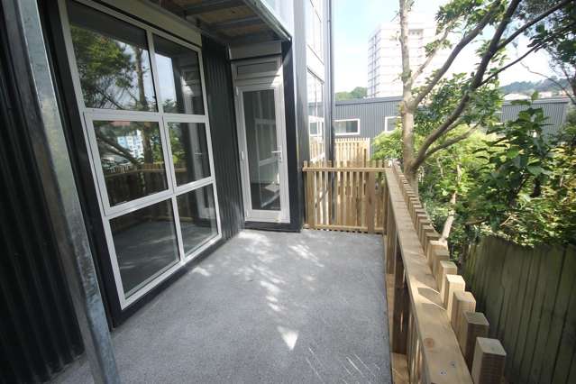 46A Thompson Street Mount Cook_4