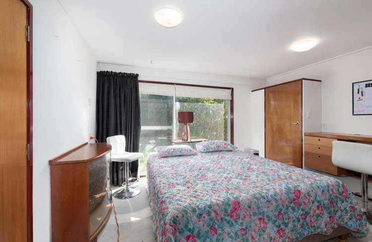 252 Whangamarino Road Te Kauwhata_10