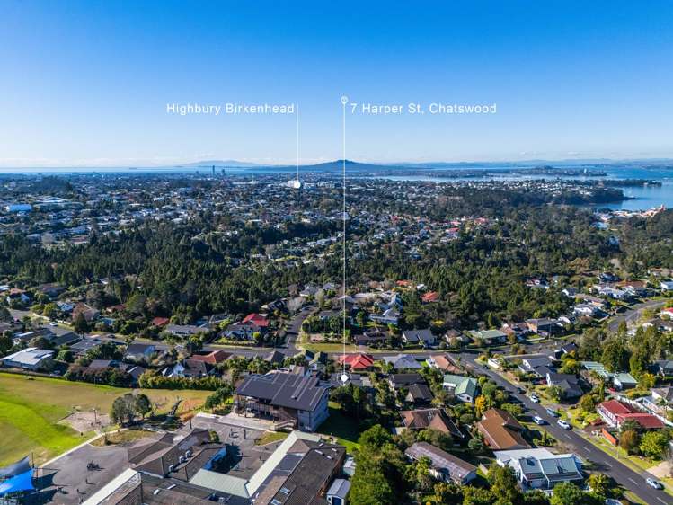 7 Harper Street Chatswood_3