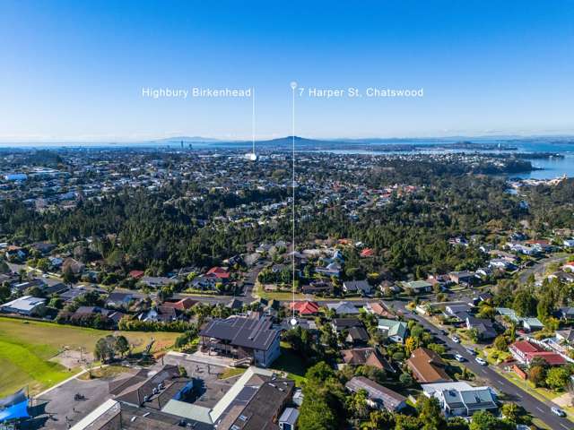 7 Harper Street Chatswood_4