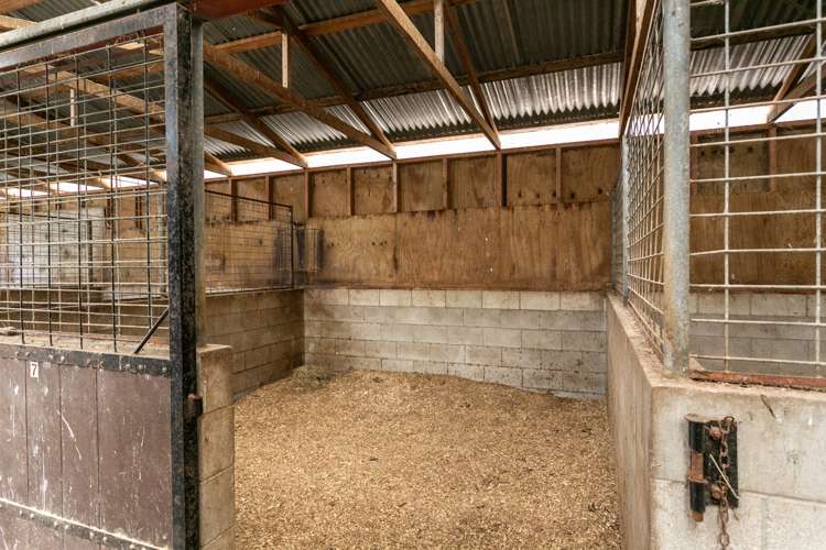 25 French Pass Road Cambridge_12