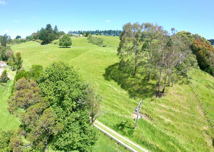 13c Nepia Road Marybank_0