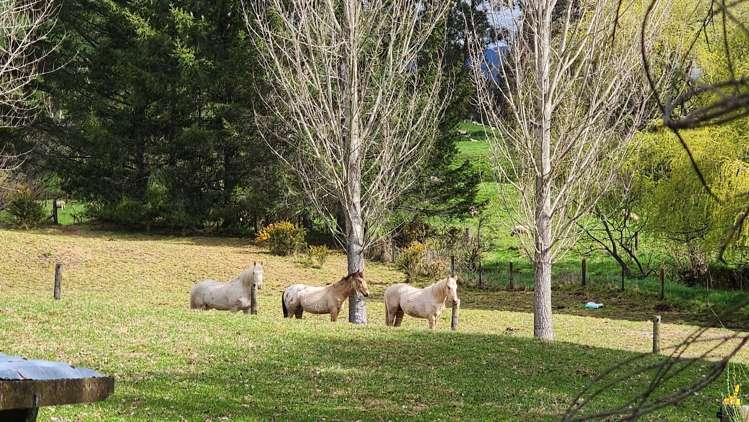 207 Eighty Eight Valley Road Wakefield_3