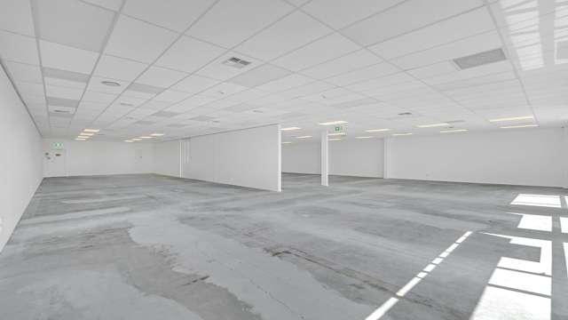 81 Riccarton Road Riccarton_3