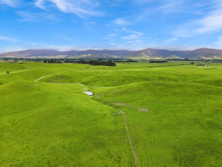 268 Kiritaki Road Dannevirke_13